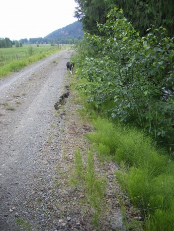 Dyke Maintenance and Monitoring